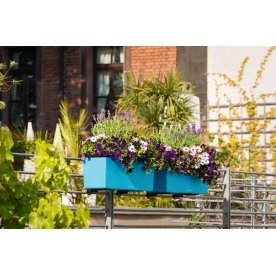 Кашпо Lechuza 15673 BALCONERA Color 50