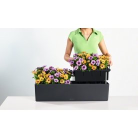 Кашпо Lechuza 15684 BALCONERA Color 80