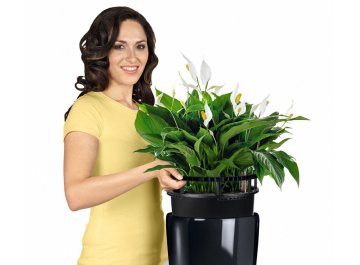 Кашпо Lechuza 15783 RONDO 32