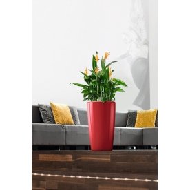 Кашпо Lechuza 15784 RONDO 32