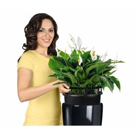 Кашпо Lechuza 15788 RONDO 32