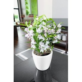 Кашпо Lechuza 16047 CLASSICO LS 28