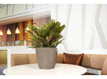 Кашпо Lechuza 16089 CLASSICO LS 43