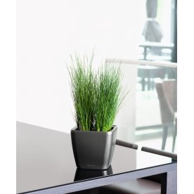 Кашпо Lechuza 16120 QUADRO LS 21