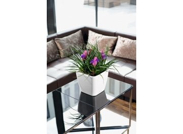 Кашпо Lechuza 16149 QUADRO LS 28