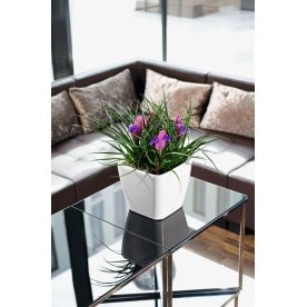 Кашпо Lechuza 16163 QUADRO LS 35