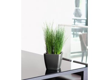 Кашпо Lechuza 16169 QUADRO LS 35