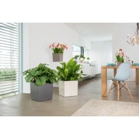 Кашпо Lechuza 16369 CUBE 40