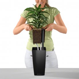 Кашпо Lechuza 18053 MAXI-CUBI