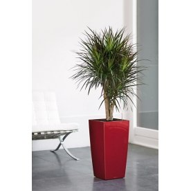 Кашпо Lechuza 18184 CUBICO 30