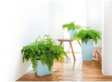 Кашпо Lechuza 18463 CUBICO 22