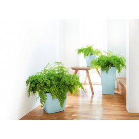 Кашпо Lechuza 18464 CUBICO 22