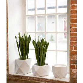 Кашпо Геометри Круглое D23 H17 DROUND23-AW