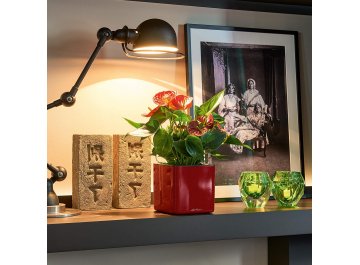 Кашпо Кьюб Глосси 14