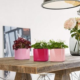 Кашпо Кьюб Глосси Кисс 14