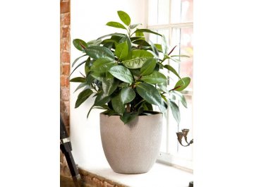 Кашпо Лотус Круглое D44 H43.5 MESHR44-T