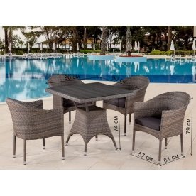 Обеденный комплект T220BG Y350BG-W1289