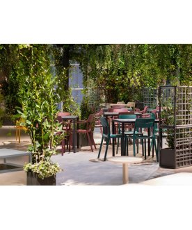 Кресло пластиковое Cassia