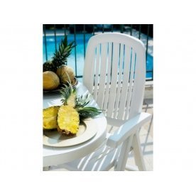 Пластиковое кресло Salina