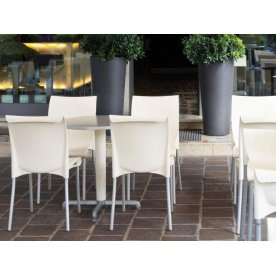 Пластиковый стул Regina