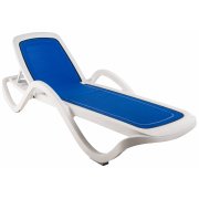 белый / синий