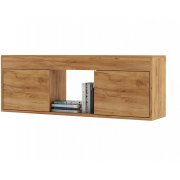 дуб золотистый