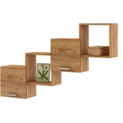 дуб золотистый