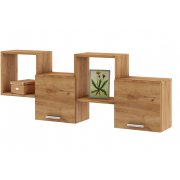 дуб золотистый