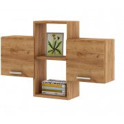 дуб золотистый