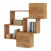 дуб золотистый