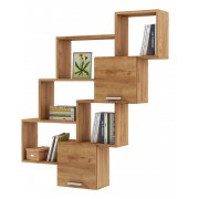 дуб золотистый