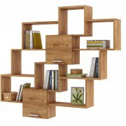 дуб золотистый