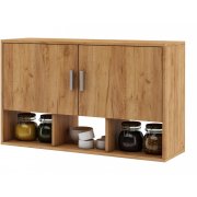 дуб золотистый