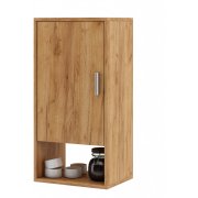 дуб золотистый