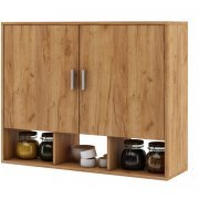 дуб золотистый