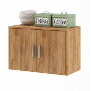 дуб золотистый