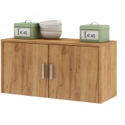 дуб золотистый