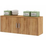 дуб золотистый