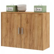 дуб золотистый