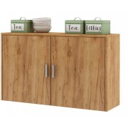 дуб золотистый