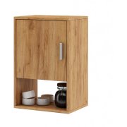 дуб золотистый