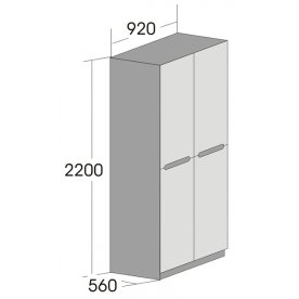 Шкаф двухдверный Виго