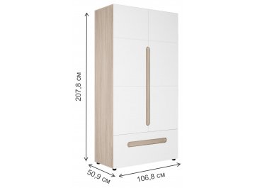 Шкаф Данк ШК-009