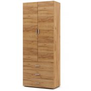 дуб золотистый