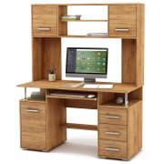 дуб золотистый