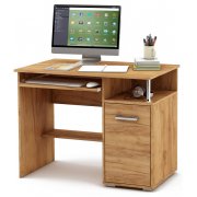 дуб золотистый