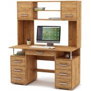 дуб золотистый