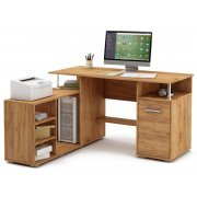 дуб золотистый