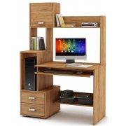 дуб золотистый