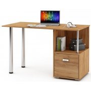 дуб золотистый